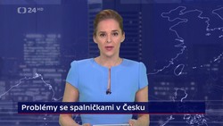Obrázek