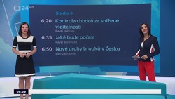 Obrázek