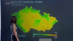 Obrázek