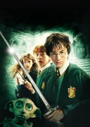Гарри Поттер и Тайная Комната / Harry Potter and the Chamber of Secrets (Уотсон, Гринт, Рэдклифф, 2003) Afe33f651258583