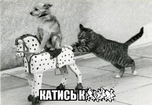 9d9e6f823752663.jpg