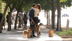 Собачьи дни / Dog Days (2018) 27d1c8899201804