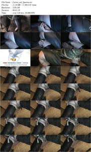 imagebam.com