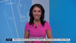 Obrázek