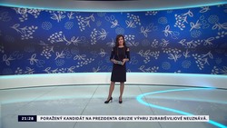 Obrázek