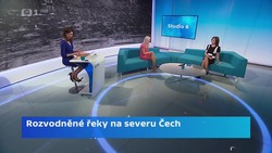 Obrázek