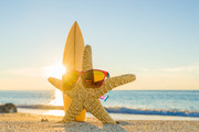 Морская звезда на пляже / Starfish with sunglasses on the beach Aa168d1190101534