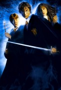 Гарри Поттер и Тайная Комната / Harry Potter and the Chamber of Secrets (Уотсон, Гринт, Рэдклифф, 2003) 96cc31651258443