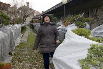 Come avete iniziato a fare bonsai? - Pagina 3 Df039c695712753