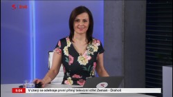 Obrázek