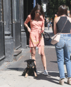 http://thumbs2.imagebam.com/6d/53/6d/5ee0401255289304.gif