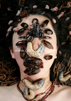 imagebam.com