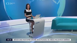 Obrázek