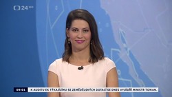 Obrázek