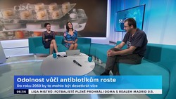 Obrázek