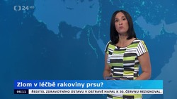 Obrázek