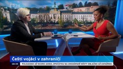 Obrázek