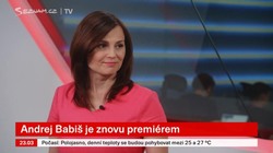 Obrázek