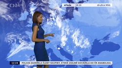 Obrázek