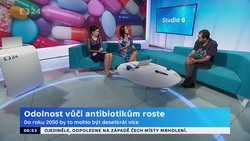 Obrázek