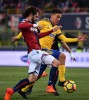 фотогалерея Bologna FC - Страница 3 Fc343e693132683