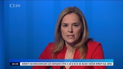 Obrázek