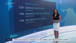 Obrázek