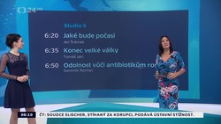Obrázek