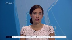 Obrázek