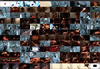 imagebam.com