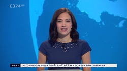 Obrázek