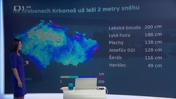 Obrázek