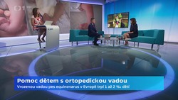 Obrázek