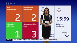 Obrázek