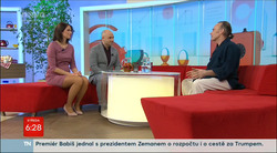 Obrázek