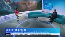 Obrázek
