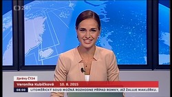 Obrázek