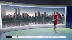 Obrázek