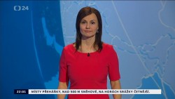 Obrázek