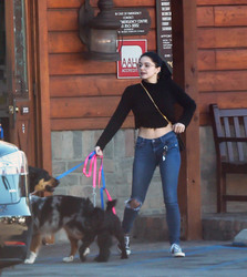 Ariel Winter & Levi Meaden - Take their dogs to the Veterinarian in Los Angeles, 2018-12-30