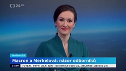Obrázek