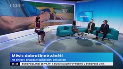 Obrázek