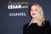 Марион Котийяр (Marion Cotillard) 'Cesar - Revelations 2018' party at Le Petit Palais in Paris, France, 15.01.2018 (60xHQ) 9366e9736689753