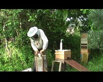 Строителю родового поместья и земледельцу (Видеокурс)