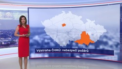 Obrázek