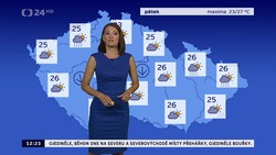 Obrázek