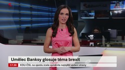 Obrázek