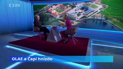 Obrázek