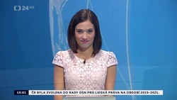 Obrázek