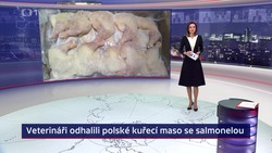 Obrázek